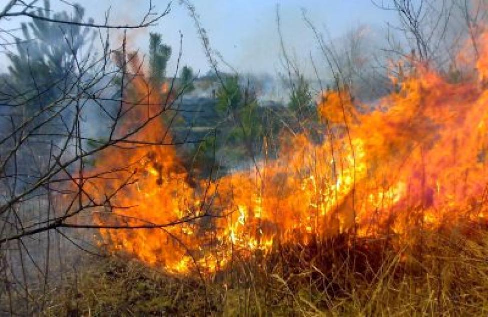В Татарском районе сохранится риск возникновения природных пожаров
