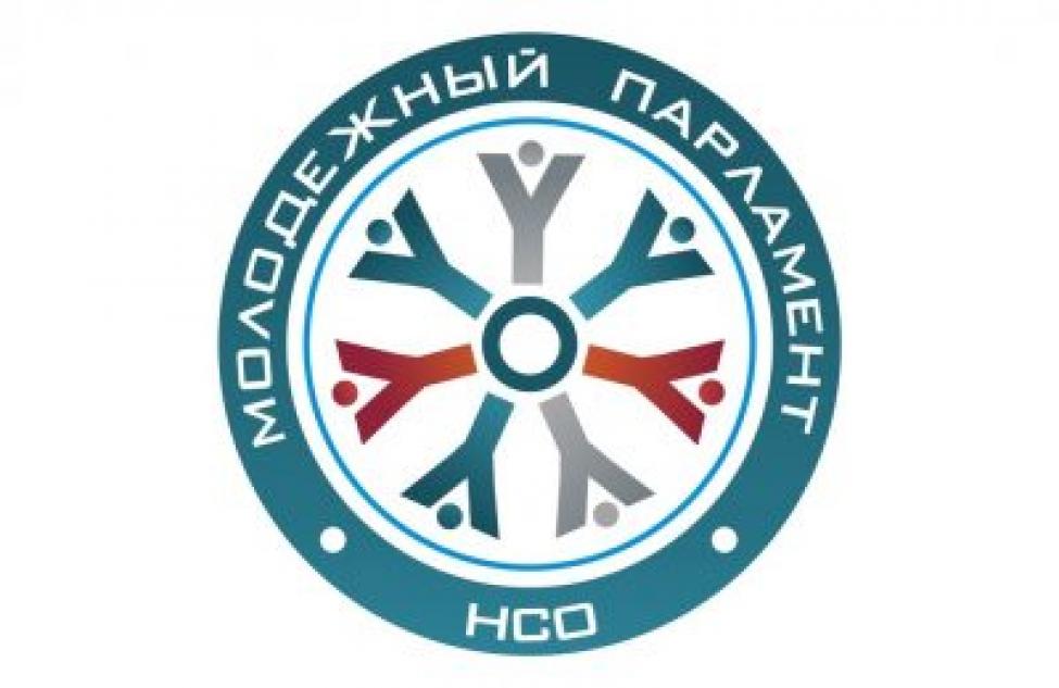Татарский район будет представлен в молодежном парламенте региона