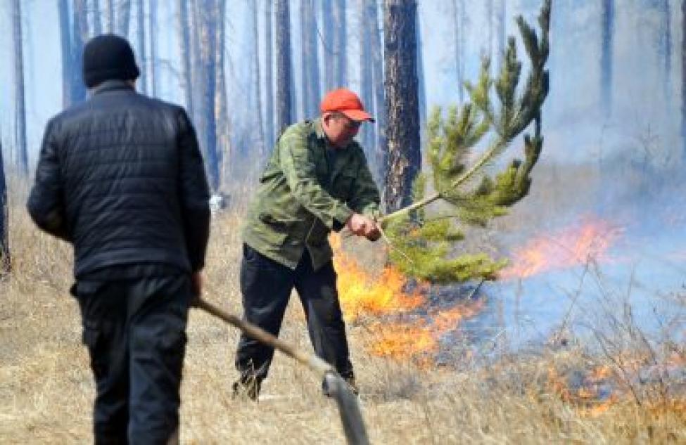 Татарский тракторист, вызвавший лесной пожар, ожидает наказания