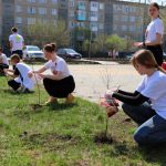 Порядка 200 мероприятий запланировано в регионе в рамках акции «Сад Памяти»