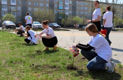 Более 2000 деревьев появилось в районе в рамках акции «Сад памяти»