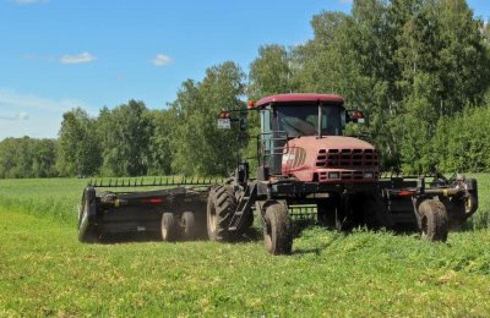 На четверть выполнили план по заготовке сена аграрии Татарского района