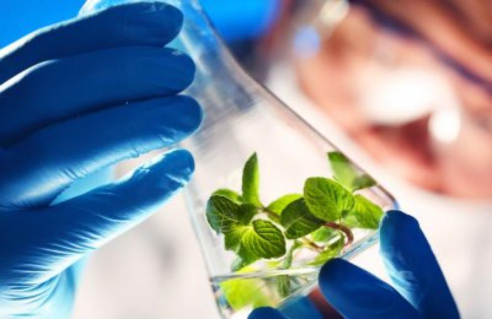 административное правовое принуждение. этика науки кратко. этапы становления науки. развитие науки и техники. система внеэкономического принуждения это.