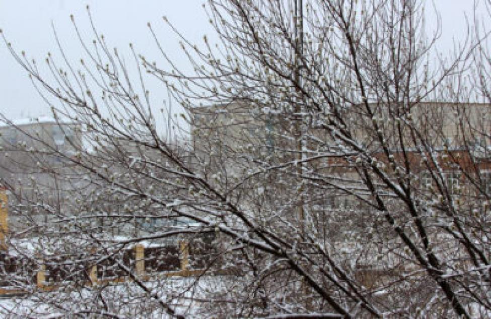 В Татарске выпал первый снег