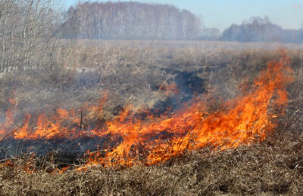 Татарские огнеборцы полтора часа тушили пожар у деревни