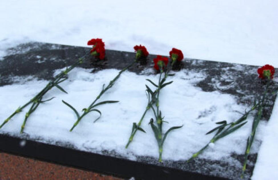 Цветы к Вечному огня возложили в Татарске в честь памятной даты России