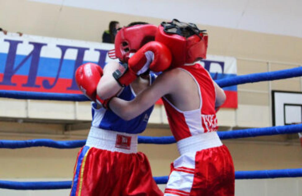 В Татарске стартовал региональный турнир по боксу на призы главы района
