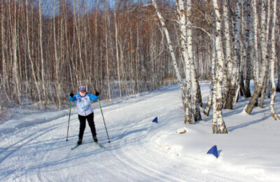 Чемпионат Татарского района по лыжным гонкам не стартовал из-за отсутствия снега