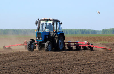 Более 117 тысяч гектаров составит яровой сев в Татарском районе