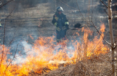 Обстановка с пожарами в Новосибирской области стабилизируется