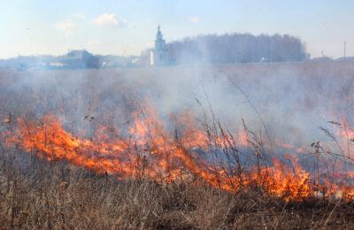 Одной из главных причин пожаров в Новосибирской области губернатор Травников считает человеческую безалаберность