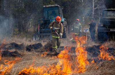 Особый противопожарный режим ввели на территории Новосибирской области с 24 апреля