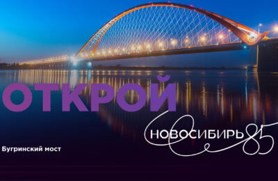 Гастрономической ярмаркой, концертами и фейерверком отметят 85-летие Новосибирской области