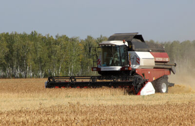 Первые 50 тысяч тонн зерна намолотили аграрии Татарского района