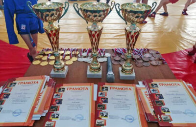 Юные самбисты из трех районов поспорили за награды турнира в Татарске