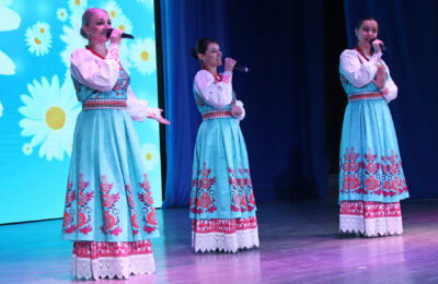 Благотворительным концертом поддержат участников спецоперации артисты Татарского района