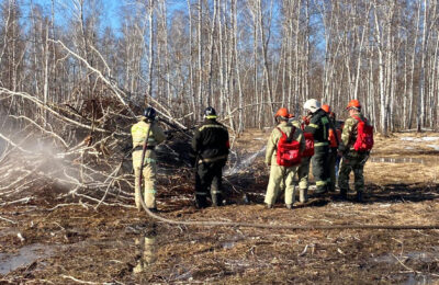 Природный пожар успешно потушили огнеборцы Татарского района