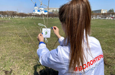 Школьники и волонтеры дали старт в Татарске международной акции «Сад памяти»