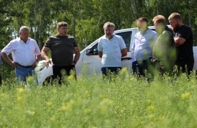 Непростую заготовку кормов обсудили аграрии Татарского района