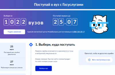 Абитуриенты Новосибирской области могут подать документы без визита в вуз