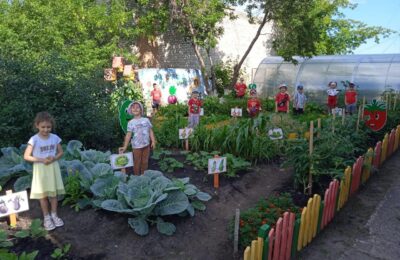 Юные агрономы из детского сада №7 г. Татарска выращивают богатый урожай