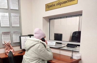 Социальная и юридическая помощь больше всего нужны семьям Новосибирской области