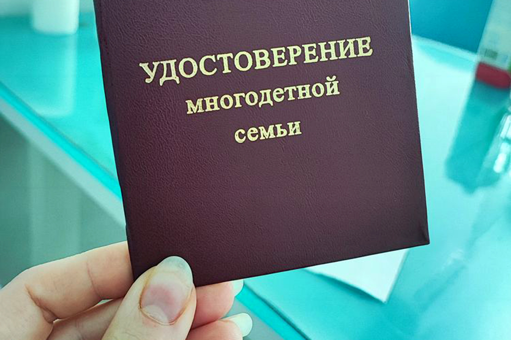 Федеральный статус получили многодетные семьи Новосибирской области -  Народная газета