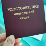 Более 57 тысяч новосибирцев получили сертификат на областной семейный капитал