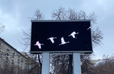 Белые журавли устремились в небо в Новосибирске в память о жертвах теракта