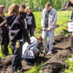 Традицию прощаться со школой высадкой деревьев продолжили выпускники в Татарске