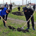 Школьники и волонтеры в Татарске дали старт международной акции «Сад Памяти»