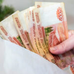 Меры поддержки жителей за изъятых животных утвердили в областном правительстве