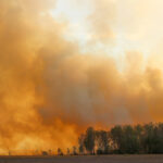 Новосибирская область активно готовится к паводку и сезону лесных пожаров
