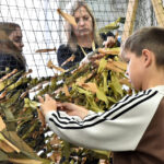 Маскировочные сети могут помочь отправить на СВО жители Татарского округа