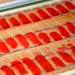 Нарушение режима приема лекарств формирует устойчивость к антибиотикам