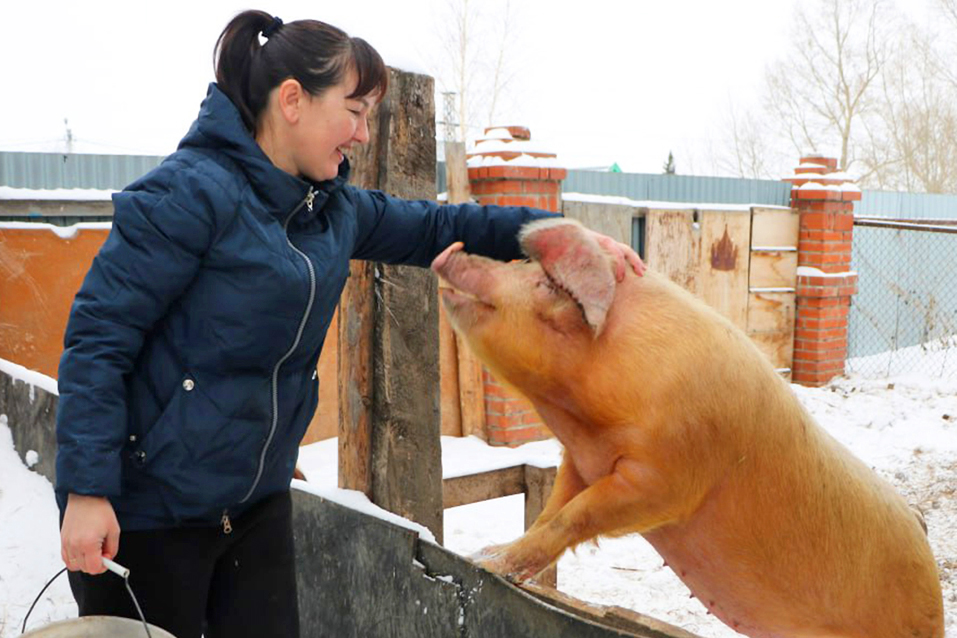 Социальный-контракт