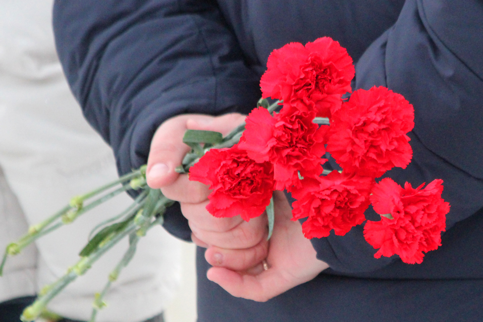 Красные-гвоздики