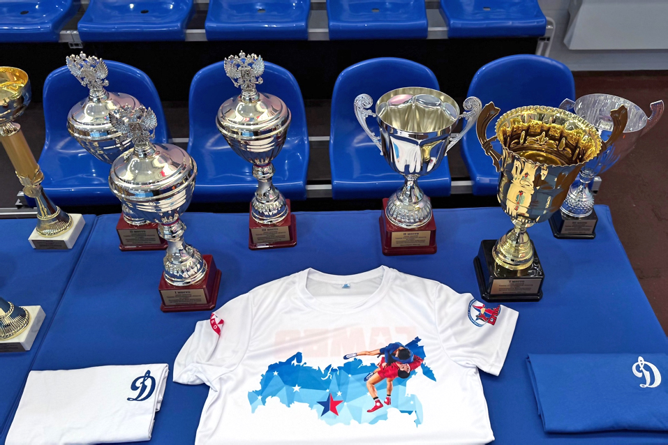 Кубки самбо