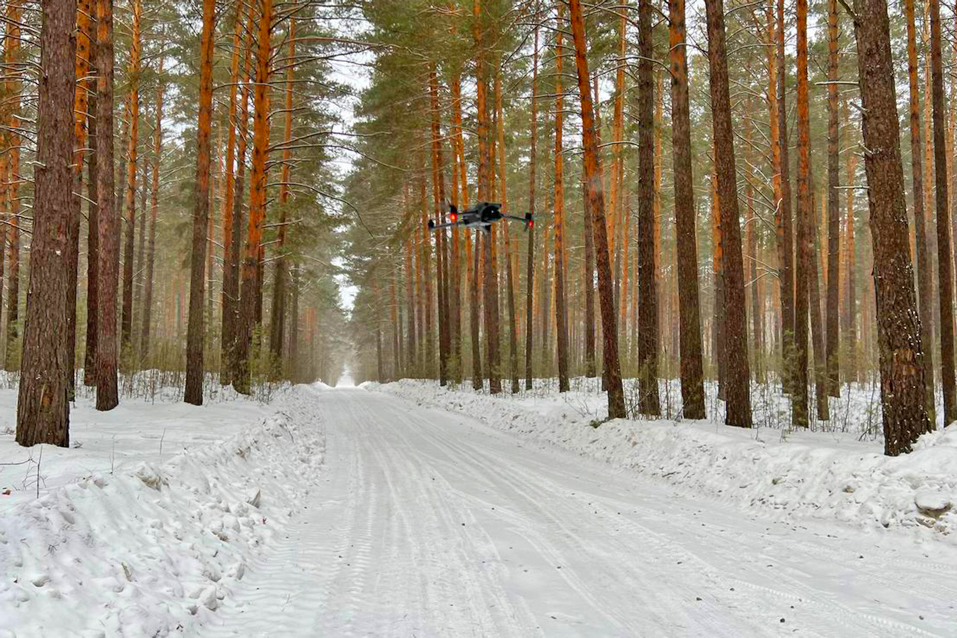 Беспилотник-в-лесу