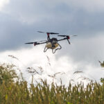 Развитие сферы беспилотных систем в Новосибирской области связано с образованием