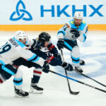 Досадное поражение в борьбе за выход в плей-офф потерпела новосибирская «Сибирь»