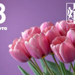 С 8 Марта принимают поздравления жительницы Новосибирской области