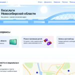 Главные цифровые сервисы Новосибирской области теперь доступны в одном месте