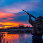 Выдача разрешений на сезон охоты в Новосибирской области стартует 16 марта