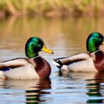 Строго соблюдать все запреты посоветовали весной охотникам Новосибирской области