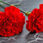 Героический подвиг ликвидаторов Чернобыльской аварии увековечат в Новосибирске