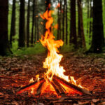 С 20 апреля в Татарском округе начнется пожароопасный сезон