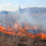 Особый противопожарный режим установят в Татарском округе с 25 апреля