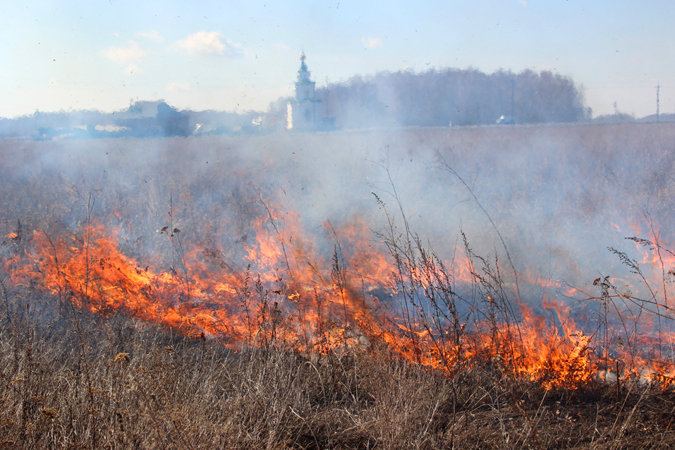 Ландшафтный пожар