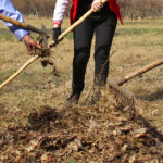 Вооружиться мётлами и граблями в преддверии праздников поручил Андрей Травников